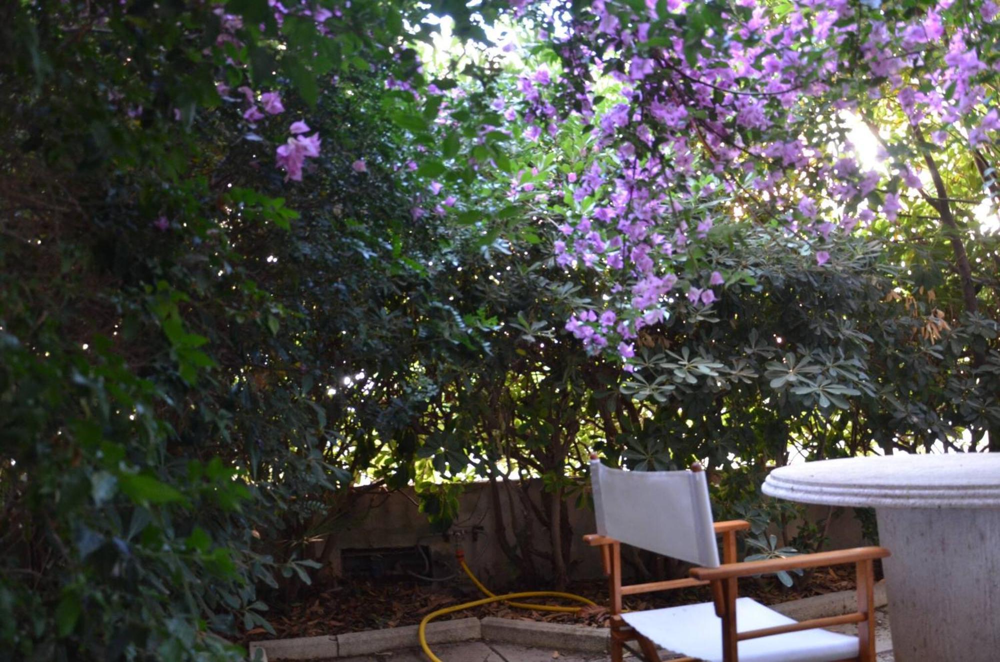 Fantastic Sardinia Villette Con Giardino Fronte Mare Fertilia Faho-Gav01-Gav02 Exterior foto