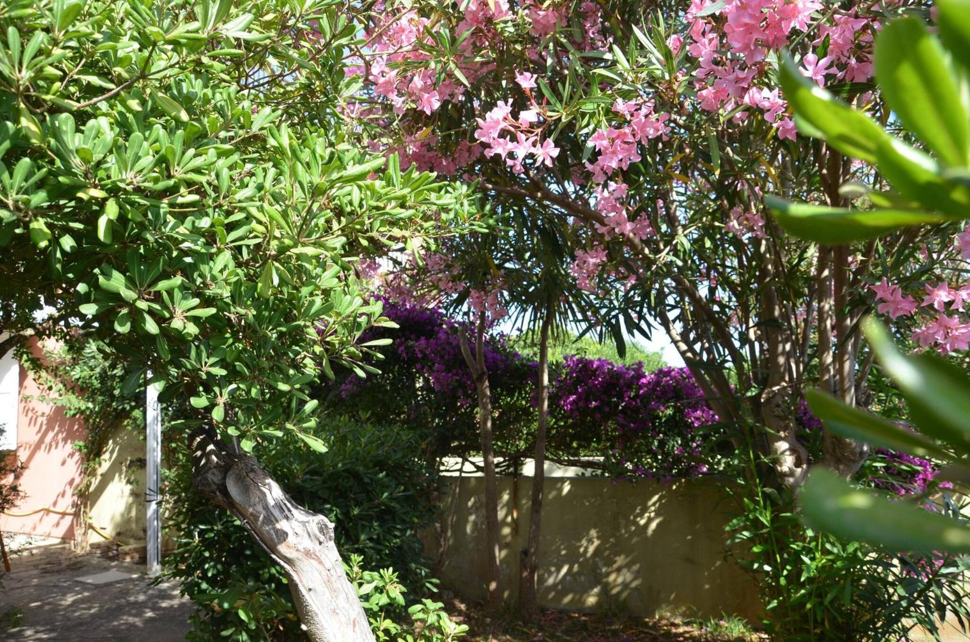 Fantastic Sardinia Villette Con Giardino Fronte Mare Fertilia Faho-Gav01-Gav02 Exterior foto