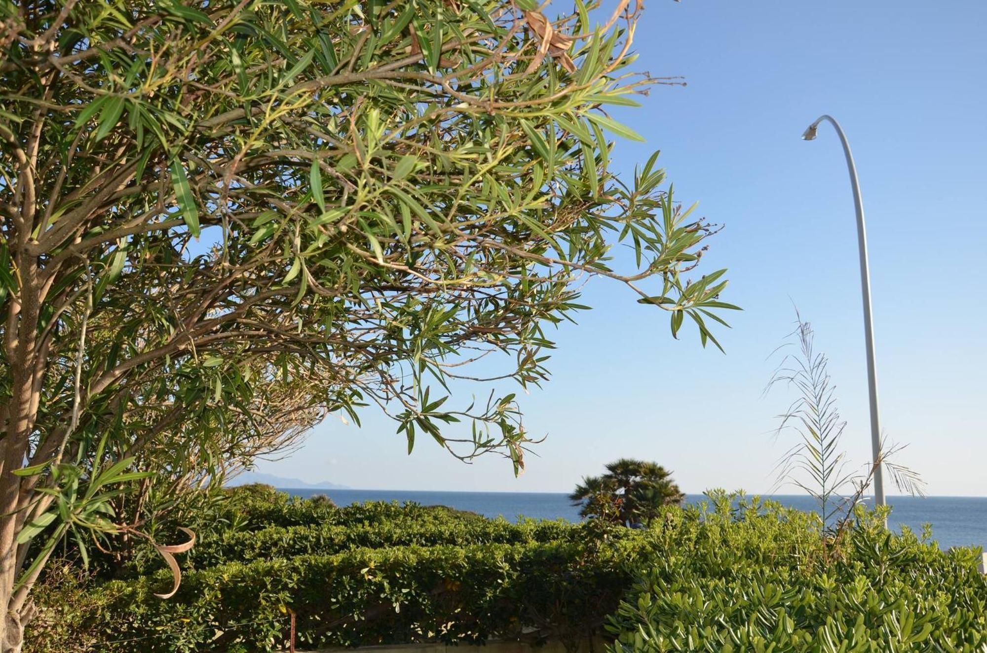 Fantastic Sardinia Villette Con Giardino Fronte Mare Fertilia Faho-Gav01-Gav02 Exterior foto