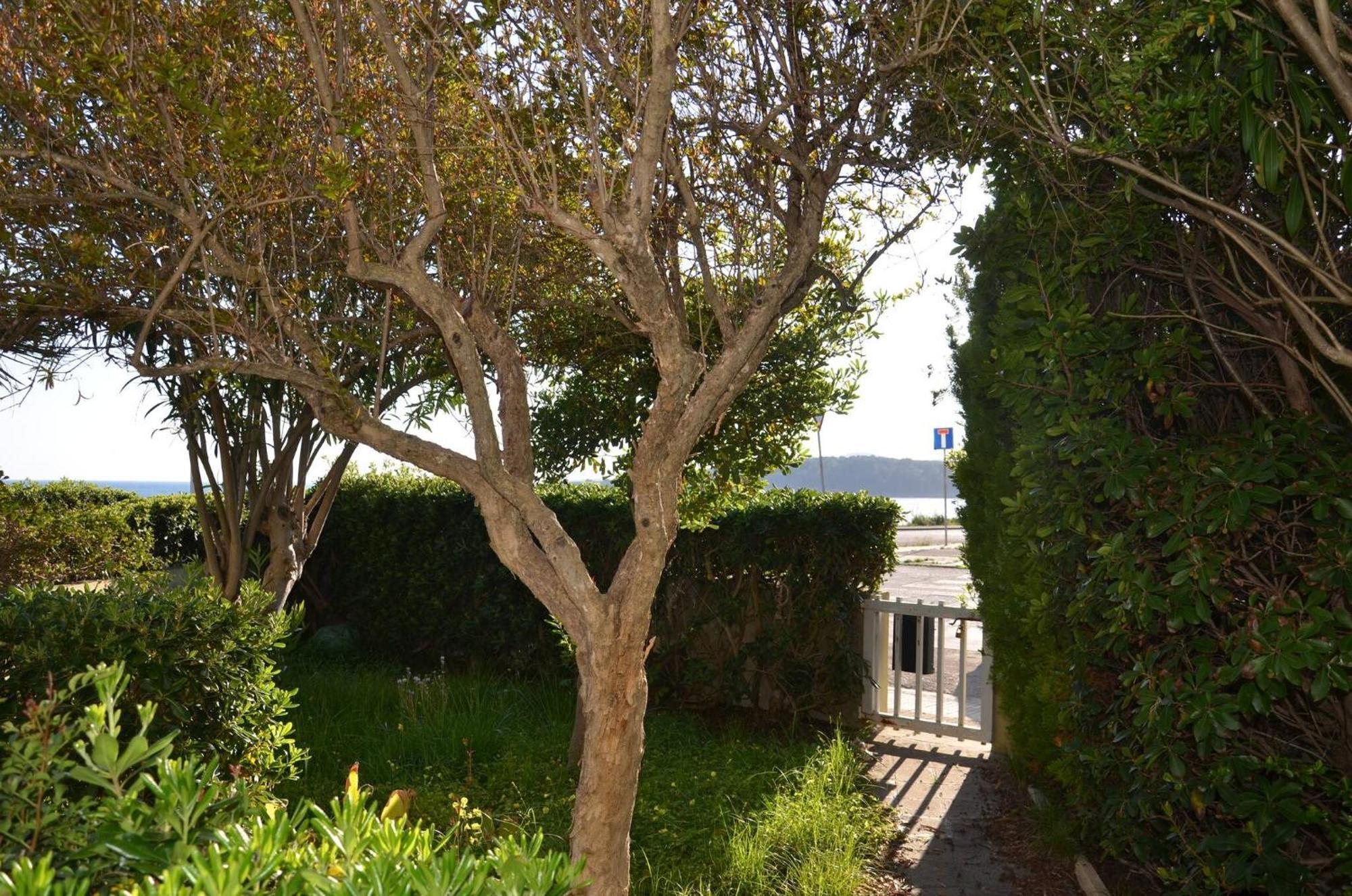 Fantastic Sardinia Villette Con Giardino Fronte Mare Fertilia Faho-Gav01-Gav02 Exterior foto